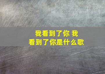 我看到了你 我看到了你是什么歌